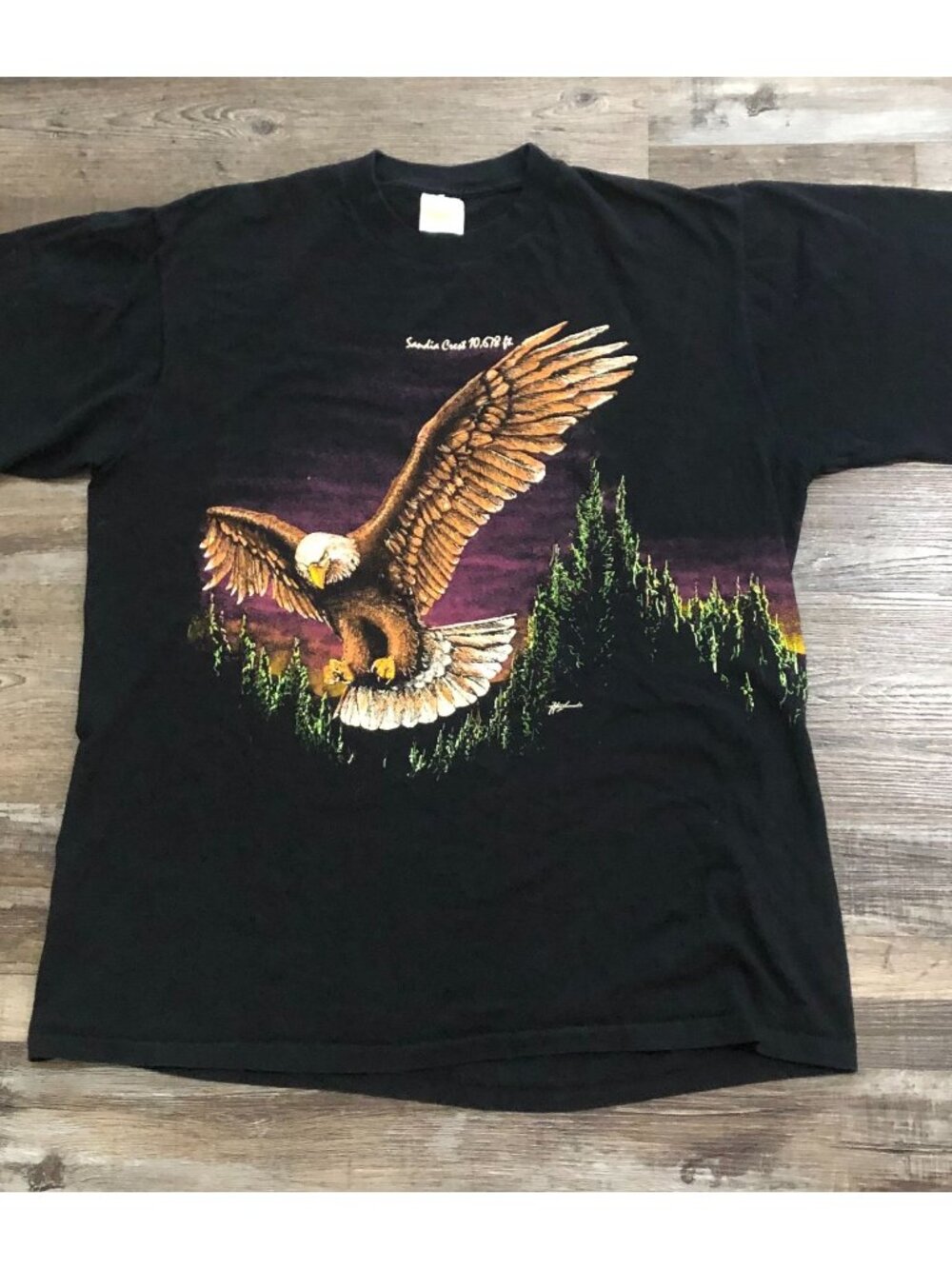 Vtg 90's Hazelwood Flying Eagle Double Sided Graphic Single Stitch T Shirt XL Me